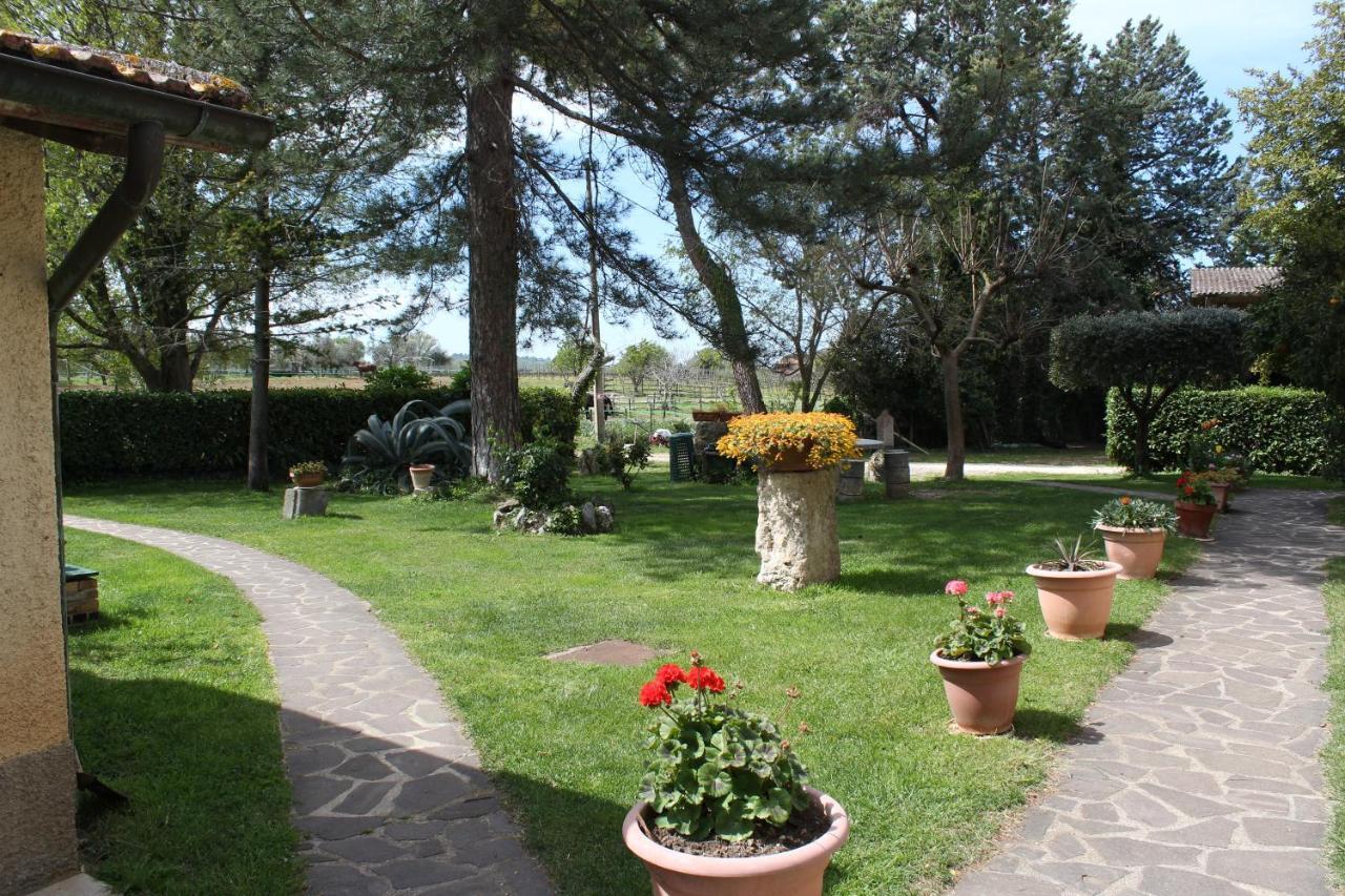Agriturismo Il Capannone Montemerano Exteriör bild